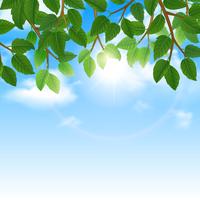 Green leaves and sky background border vector