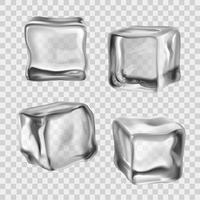 Cubitos de hielo transparente vector