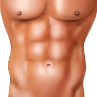 Paquete de Abs de hombre realista vector