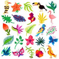 Troipcal Flora And Fauna vector