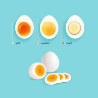 Boiled Eggs Stages Set vector