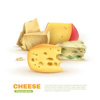 Colorful Cheese Template vector