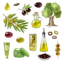 Olive Cartoon Set vector