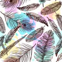 Hand Drawn Feathers Seamless Pattern  vector