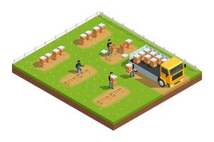 Beekeeping Apiary Isometric Composition vector