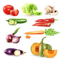 Vegetables Decorative Icons Collection vector