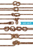 Rope Knots Set vector