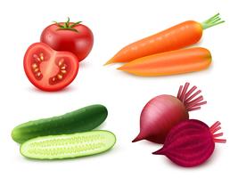 Realistic Vegetables Set vector