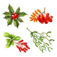 Christmas Berry Branches Set vector