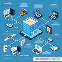 Telemedicine Isometric Flowchart