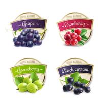 Organic Berries Labels Collection vector