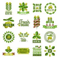 Conjunto de etiquetas de aceite de oliva natural orgánico vector