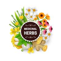 Medicinal Herbs Plants Wreath Flat Frame vector