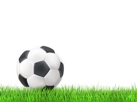 Soccer ball grass background vector