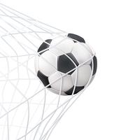  Soccer Ball In The Net Pictogram  vector