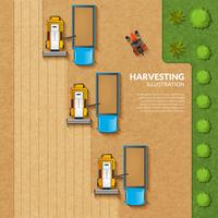 Harvesting top view illustration vector