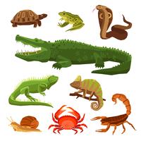Reptiles y anfibios establecidos vector