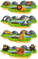 Set of animals in scene vector