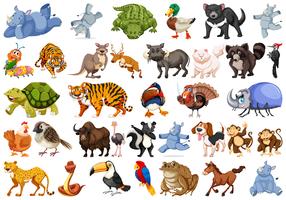 Set of animals sets vector