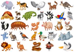 Set of animal character vector