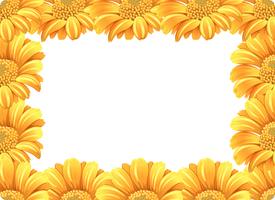 Yellow daisy flower border vector