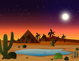 A desert scene at night vector