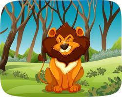 A lion in the forest vector