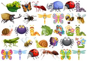 Conjunto de caracteres de insectos vector