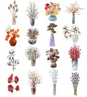 Collection Of Dry Flowers Bouquets In Vases  vector