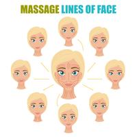 Set de líneas de masaje facial vector