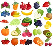 Colección de iconos coloridos de frutas bayas vector