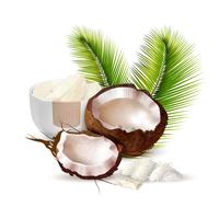 Coconut Realistic Illustration vector