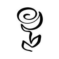 Rose flower concept. Continuous line hand drawing calligraphic vector logo. Scandinavian spring floral design element in minimal style. black and white