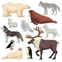 Conjunto de animales polares vector