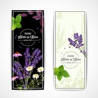 Herbal Banners With Wildflowers And Spices vector