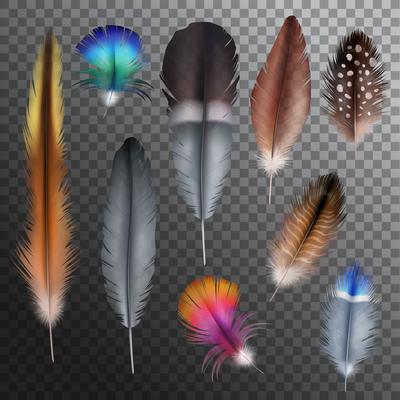 Feathers Realistic Transparent Set