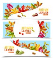 Banners de hojas de otoño vector