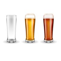 Three Transparent Glasses of Lager   vector