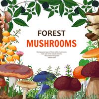 Forest Wild Mushroom Background vector