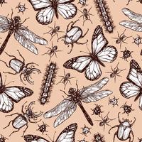 Vintage Drawn Insect Seamless Pattern vector