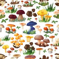 Mushroom Seamless Pattern vector