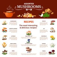 Assorted  Mushrooms Infographics vector