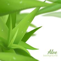 Green Aloe Vera Realistic Background vector