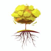 Tree With Root Retro Cartoon Illustration vector