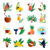 Conjunto de iconos tropicales vector