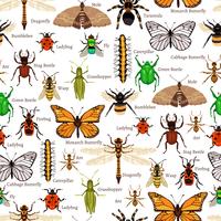 Insectos de patrones sin fisuras vector