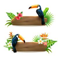 Toucan 2 Tropical Rainforest Banners  vector