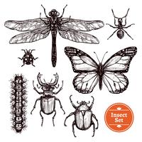 Conjunto de insectos dibujados a mano vector