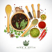 Herb And Spice Poster vector