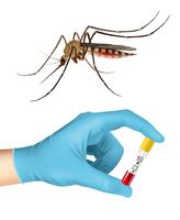 Mosquito and blood test vector